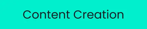 content creation  digital marketer in alappuzha